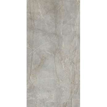 Silver Root