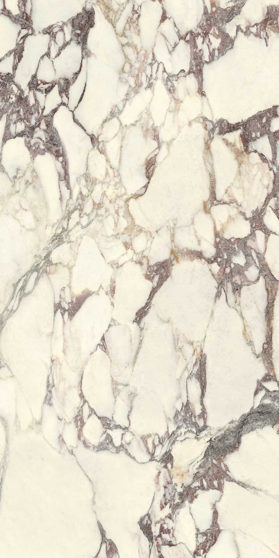 BRECCIA MEDICEA