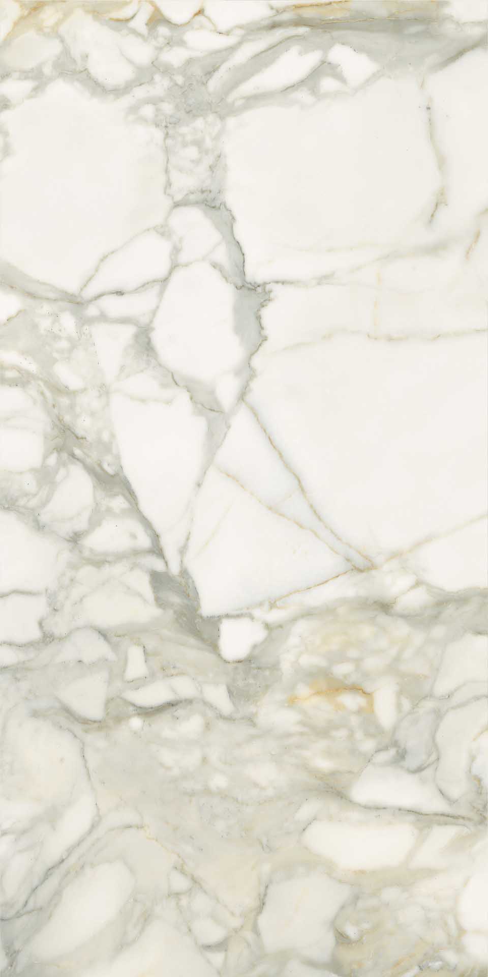 CALACATTA ORO