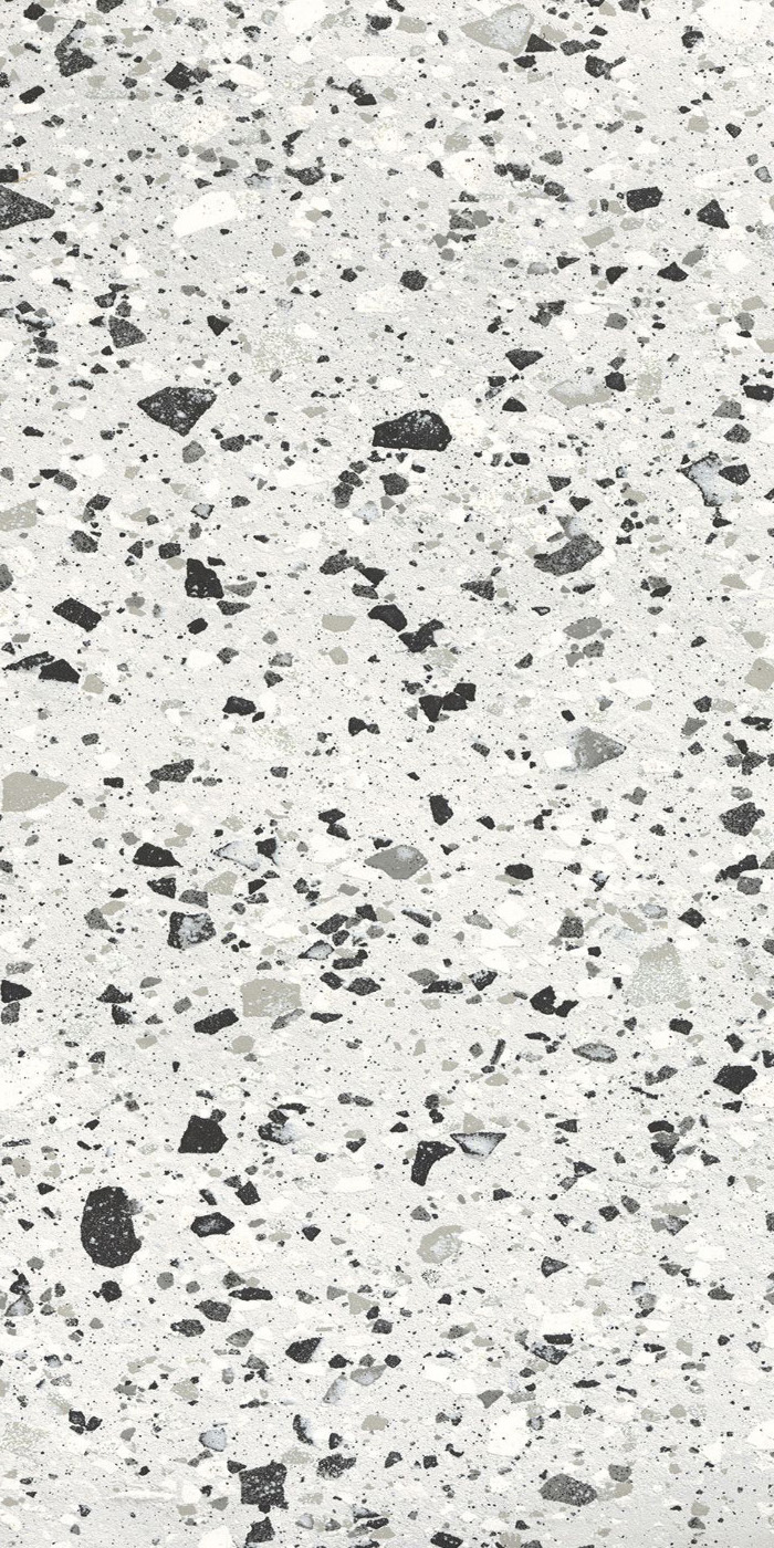 VENICE SILVER