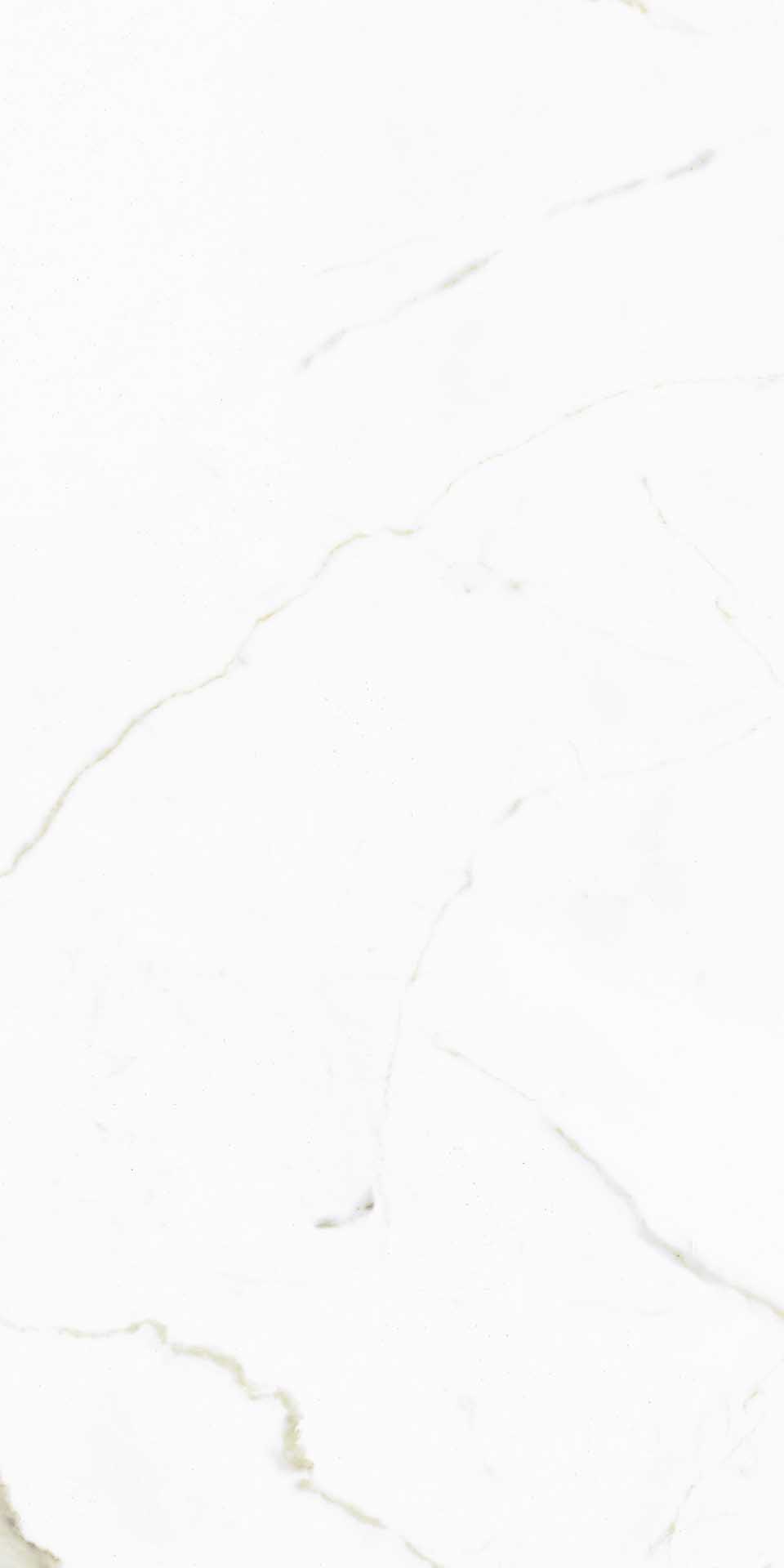CALACATTA WHITE