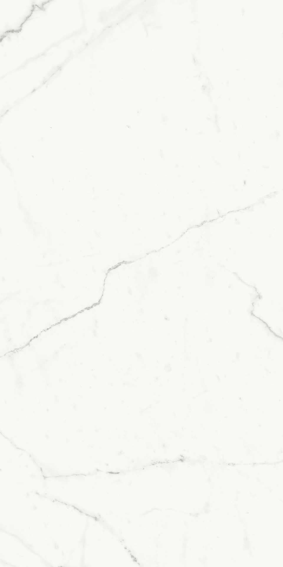 BIANCO VENATO EXTRA